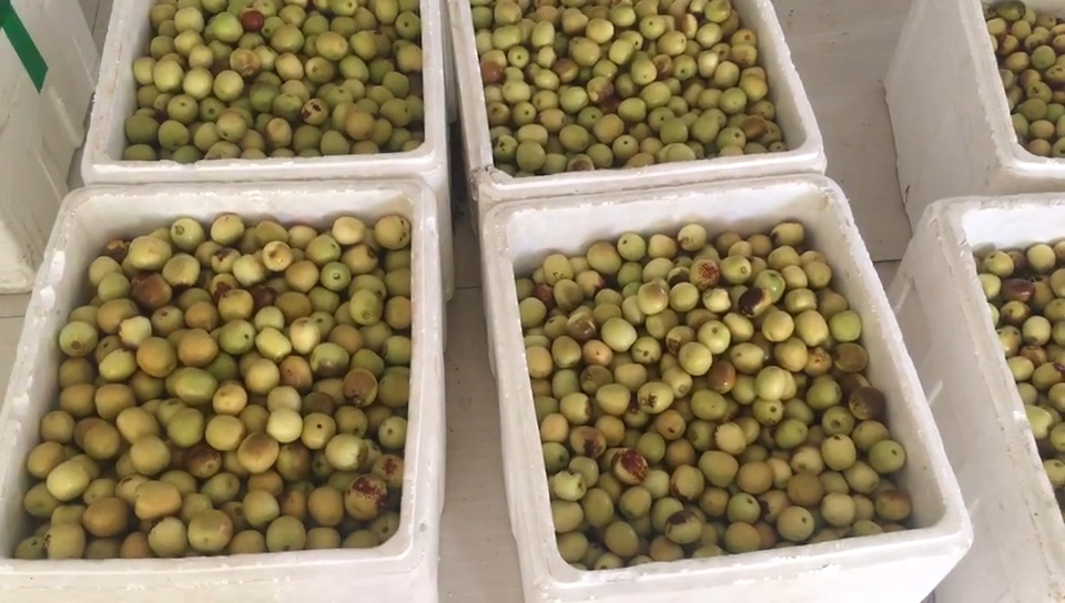 產品視頻